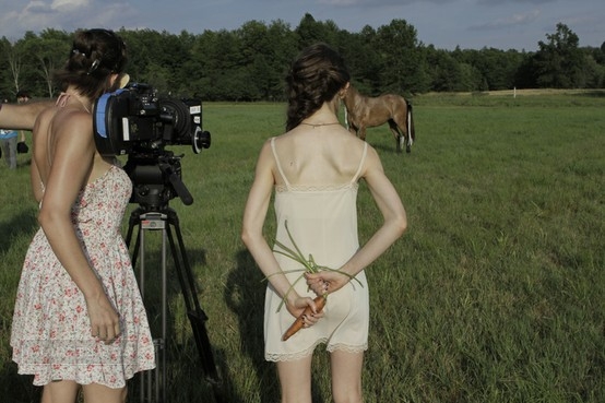 BTS_025.jpg