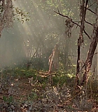 IBiU_0485.jpg