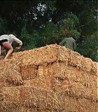 IBiU_0929.jpg