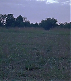 IBiU_1417.jpg