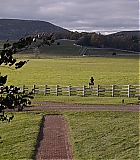 NDF-THS082.jpg