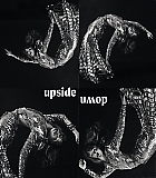NDF-006.jpg