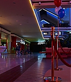 NDF308-001.jpg