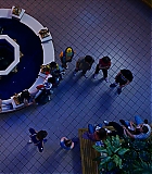 NDF308-003.jpg