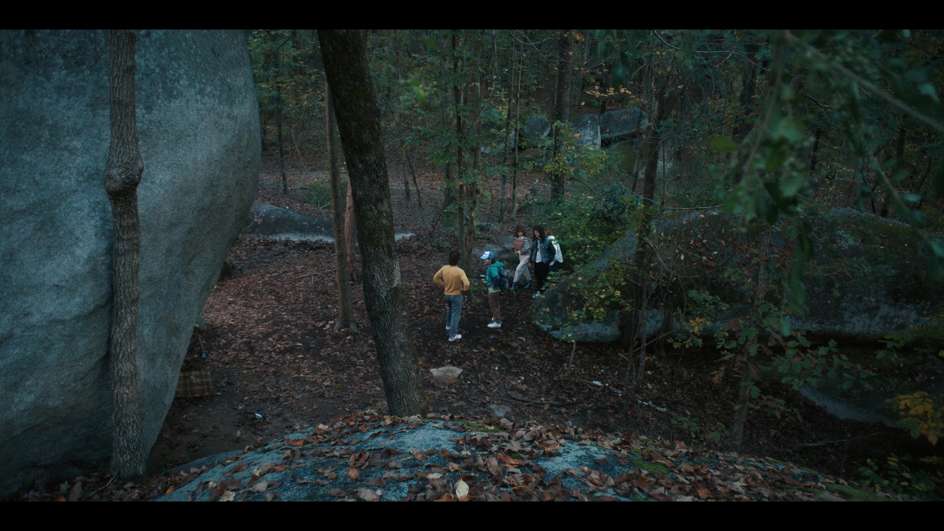 NDF406-058.jpg NDF406-058.jpg